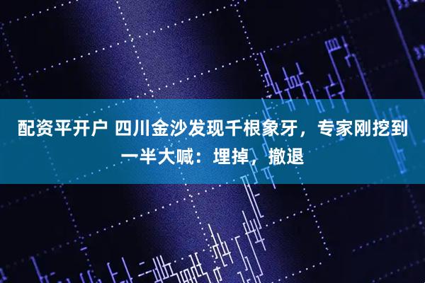 配资平开户 四川金沙发现千根象牙，专家刚挖到一半大喊：埋掉，撤退